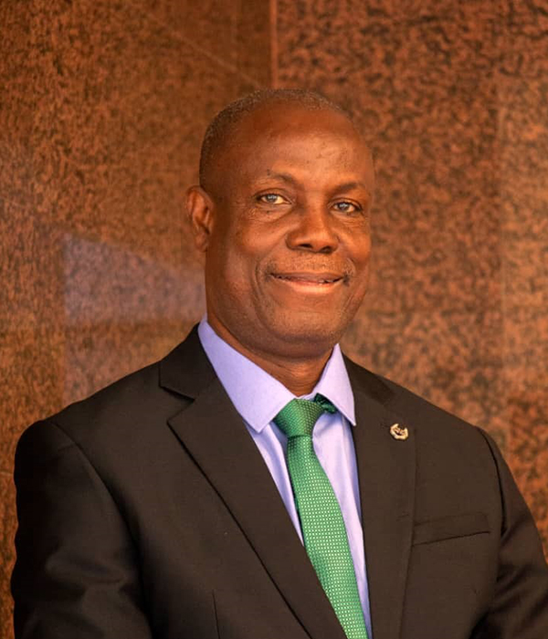 Associate Prof. Kingsley Okpara , Nigerian Environmental Summit Group